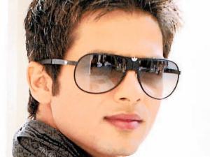 Bollywood Gossip: Shahid Kapoor